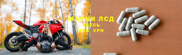 шишки Сатка