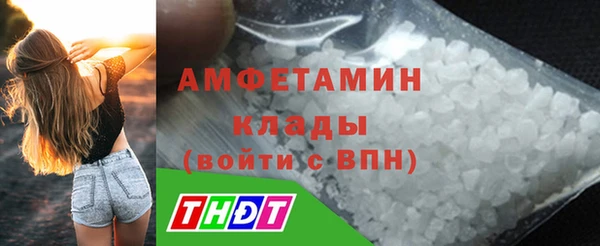 стаф Абинск