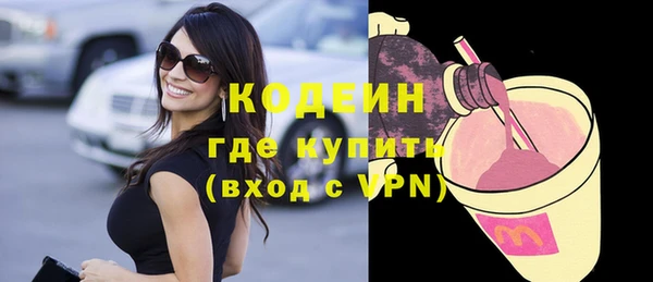шишки Сатка