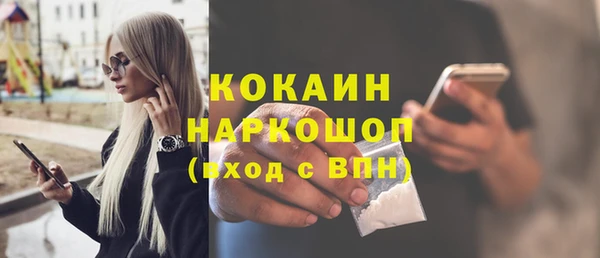 стаф Абинск