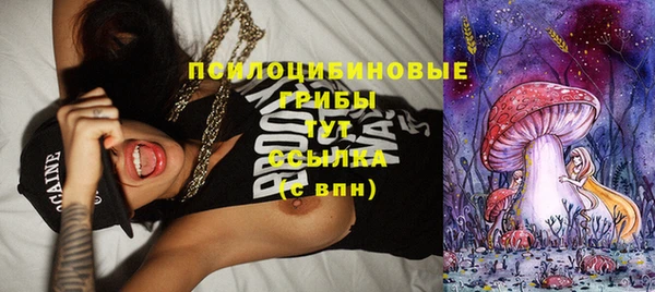стаф Абинск