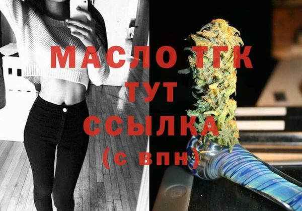 шишки Сатка