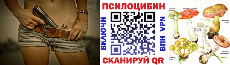 Галлюциногенные грибы Psilocybine cubensis  Лабытнанги 